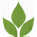 Plant extract icon